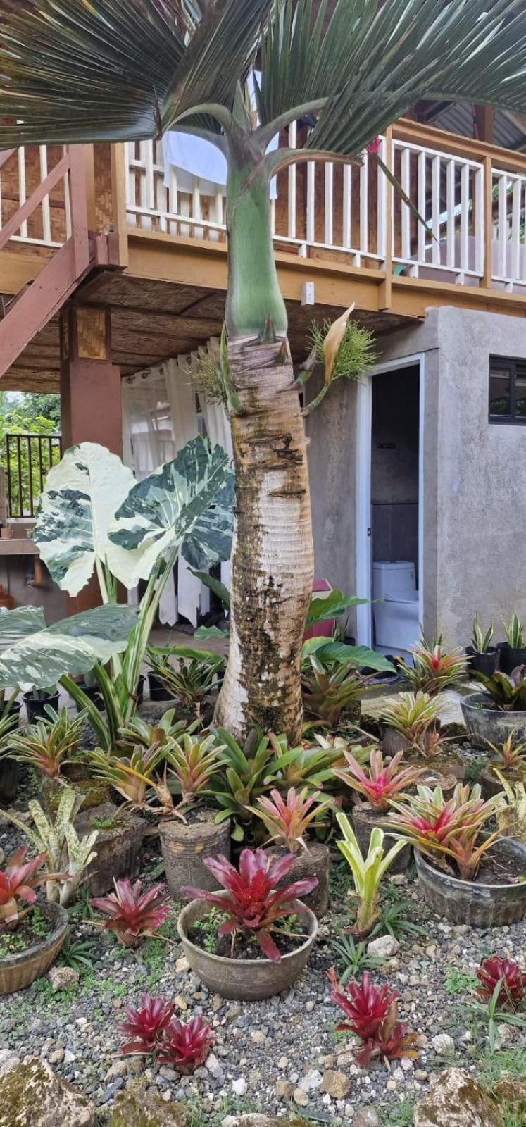 Khloe Serenity Guest House Batuan Bagian luar foto